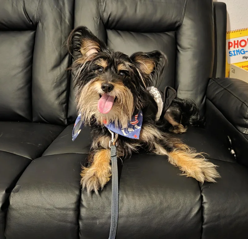 Baxter thumbnail 2