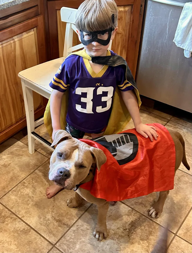 Patchescourtesy Listinig