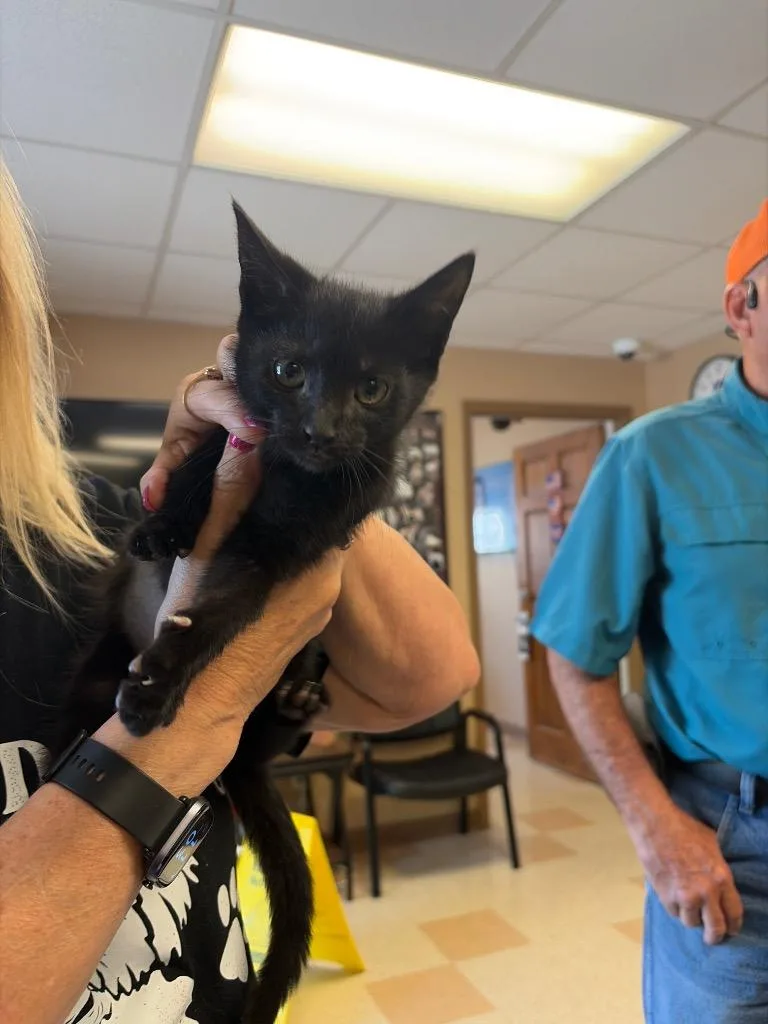 Spice Girl thumbnail 2