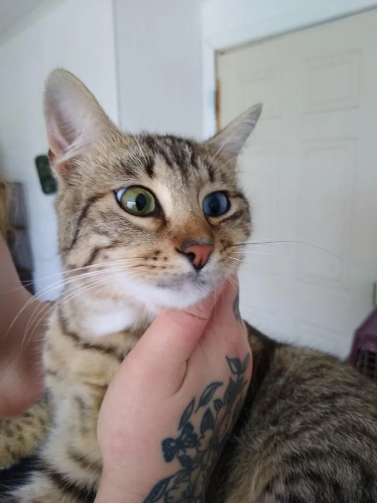 Leeloo