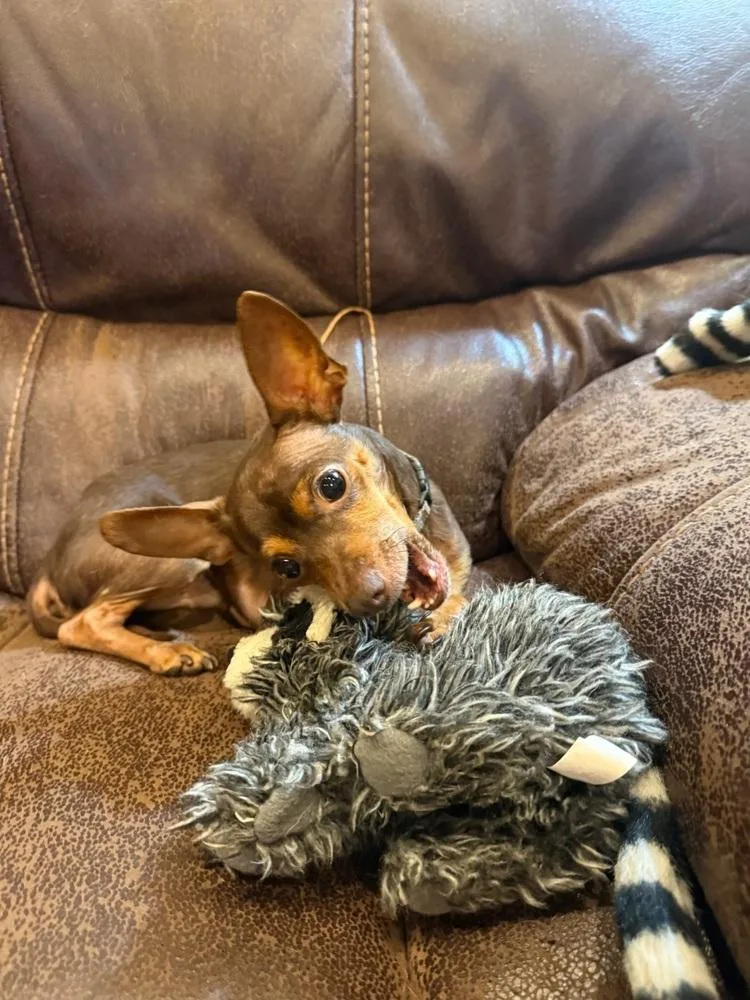 Finnegan