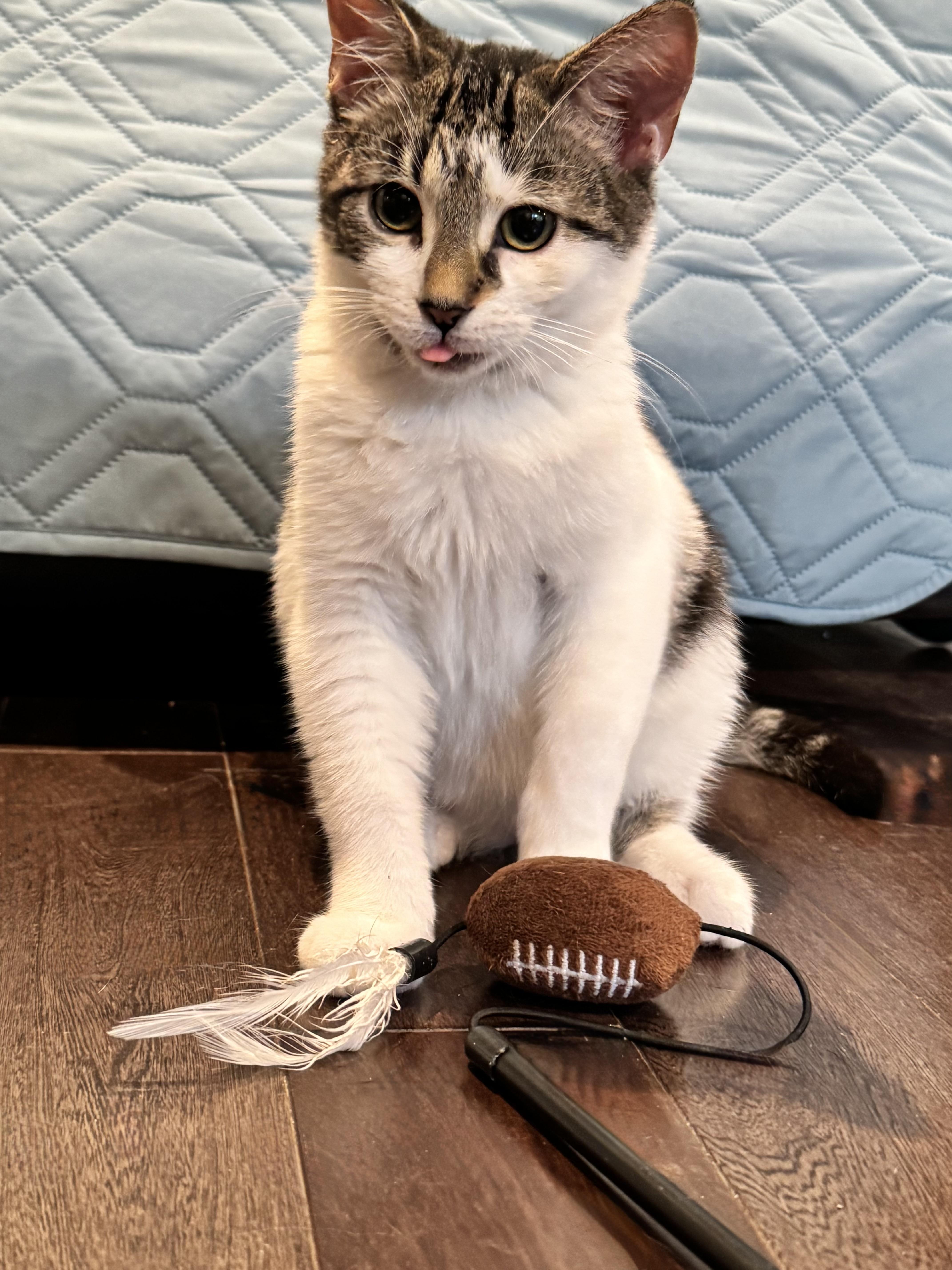 Amonra St. Brown thumbnail 2