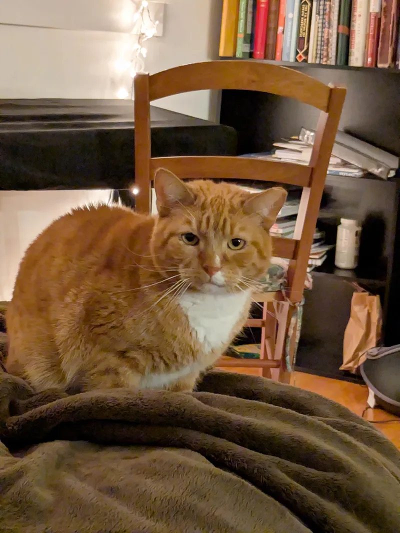 Jupiter Farson thumbnail 2