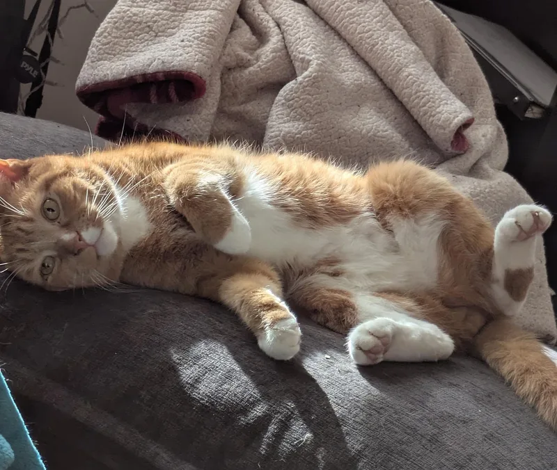 Jupiter Farson thumbnail 3