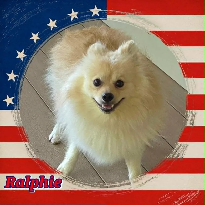 Ralphie thumbnail 3