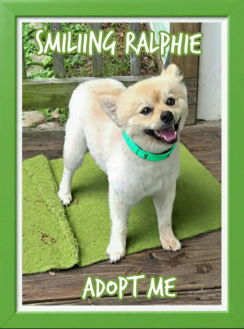Ralphie thumbnail 5