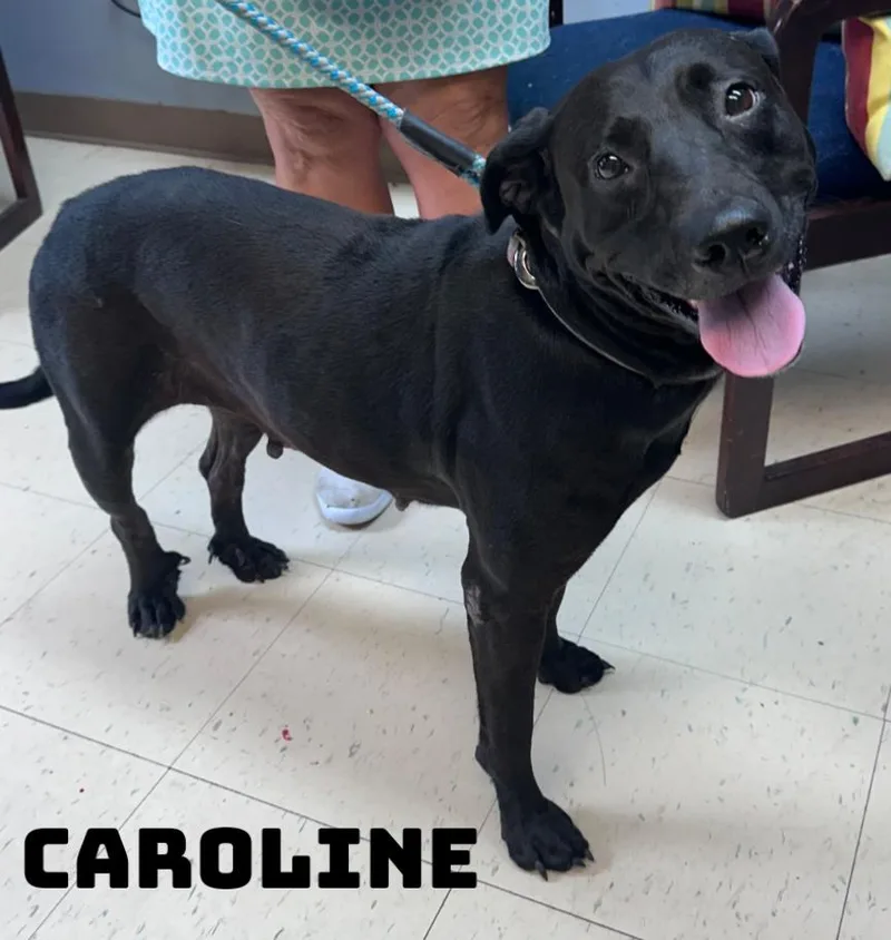 Caroline thumbnail 2