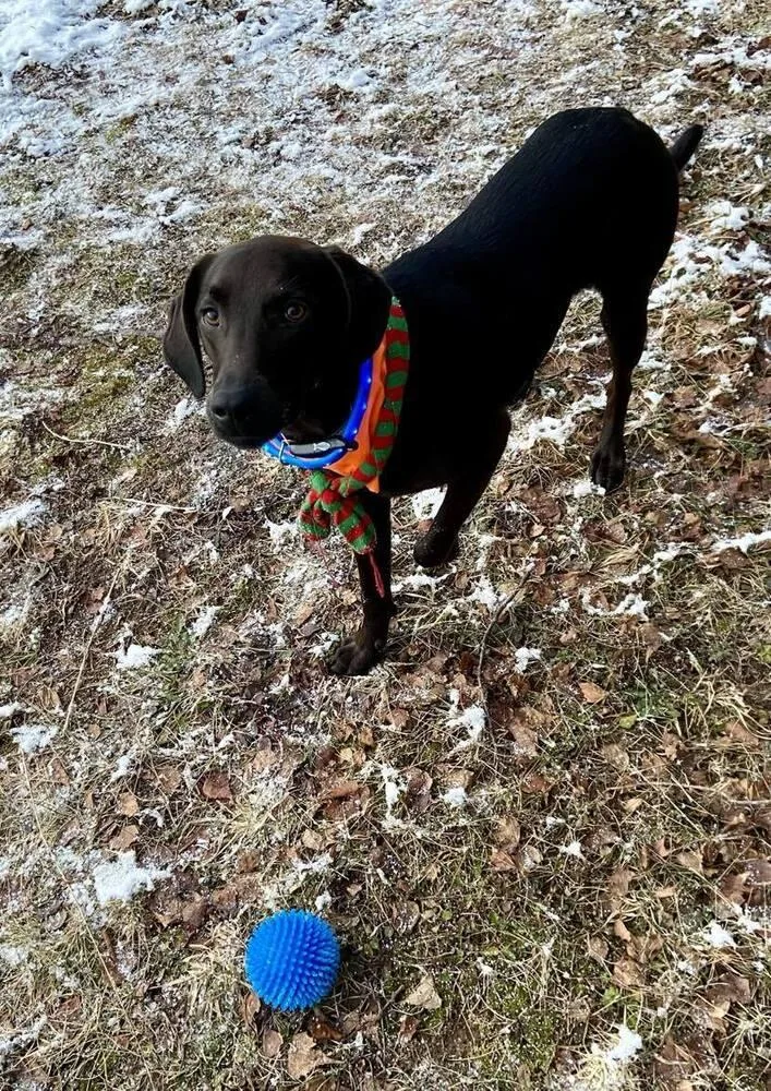 Kobe 🇨🇦 thumbnail 2