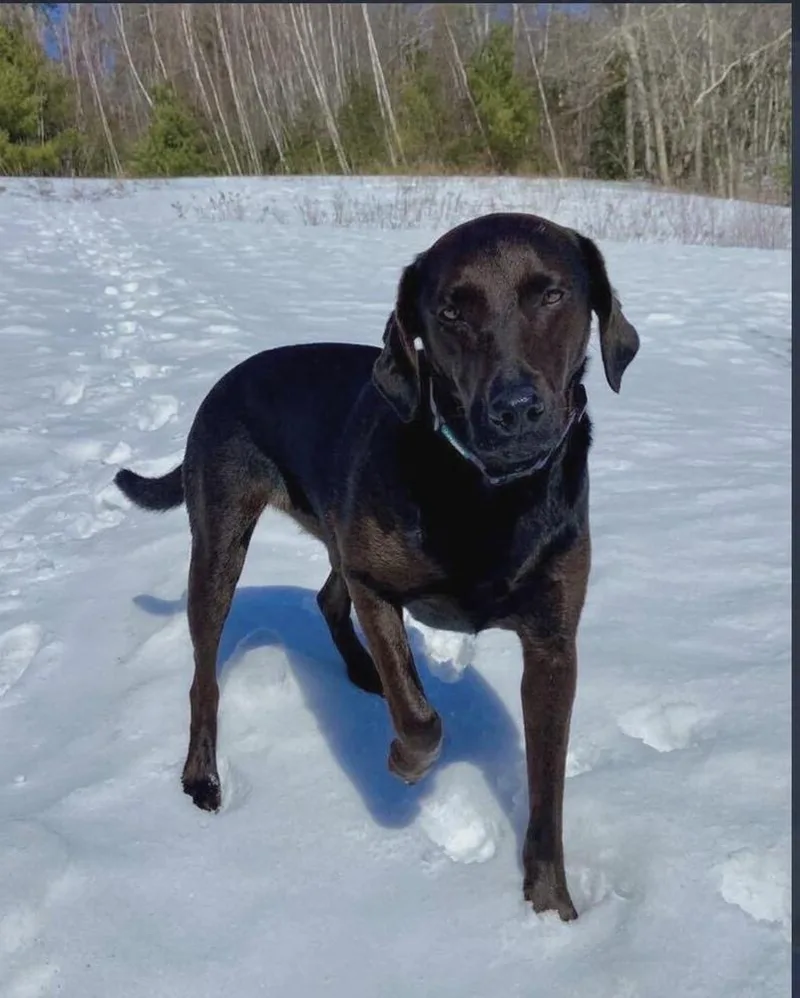 Kobe 🇨🇦 thumbnail 3