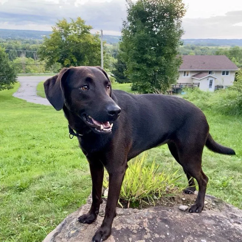 Kobe 🇨🇦 thumbnail 4