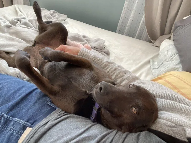 Kobe 🇨🇦 thumbnail 5