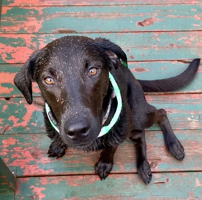 Kobe 🇨🇦 thumbnail 6