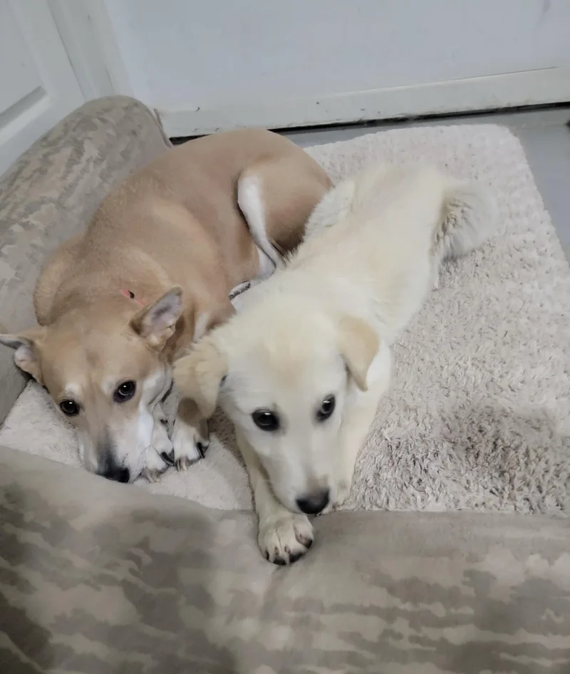 Taco Tena thumbnail 2