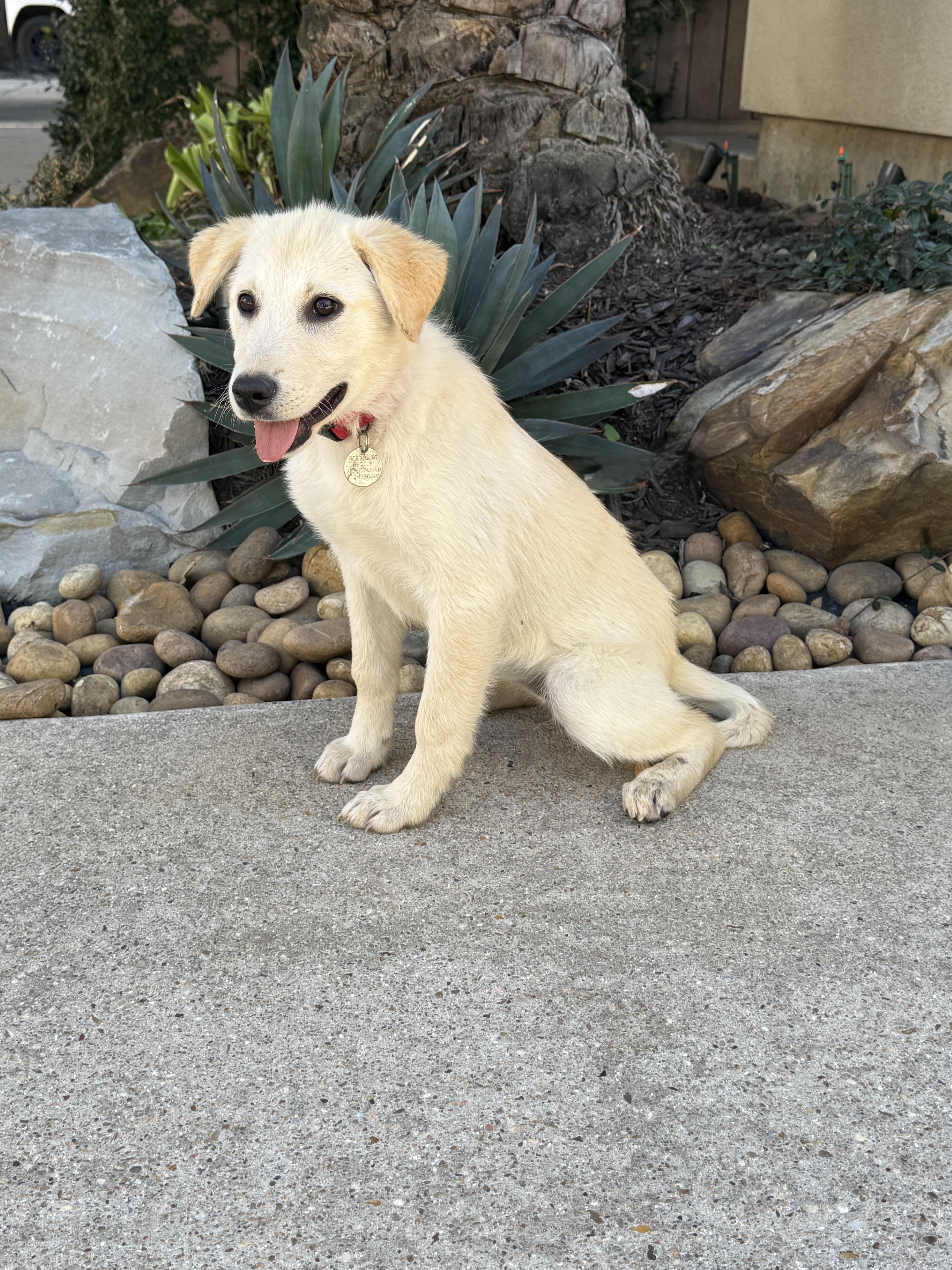 Taco Tena thumbnail 3