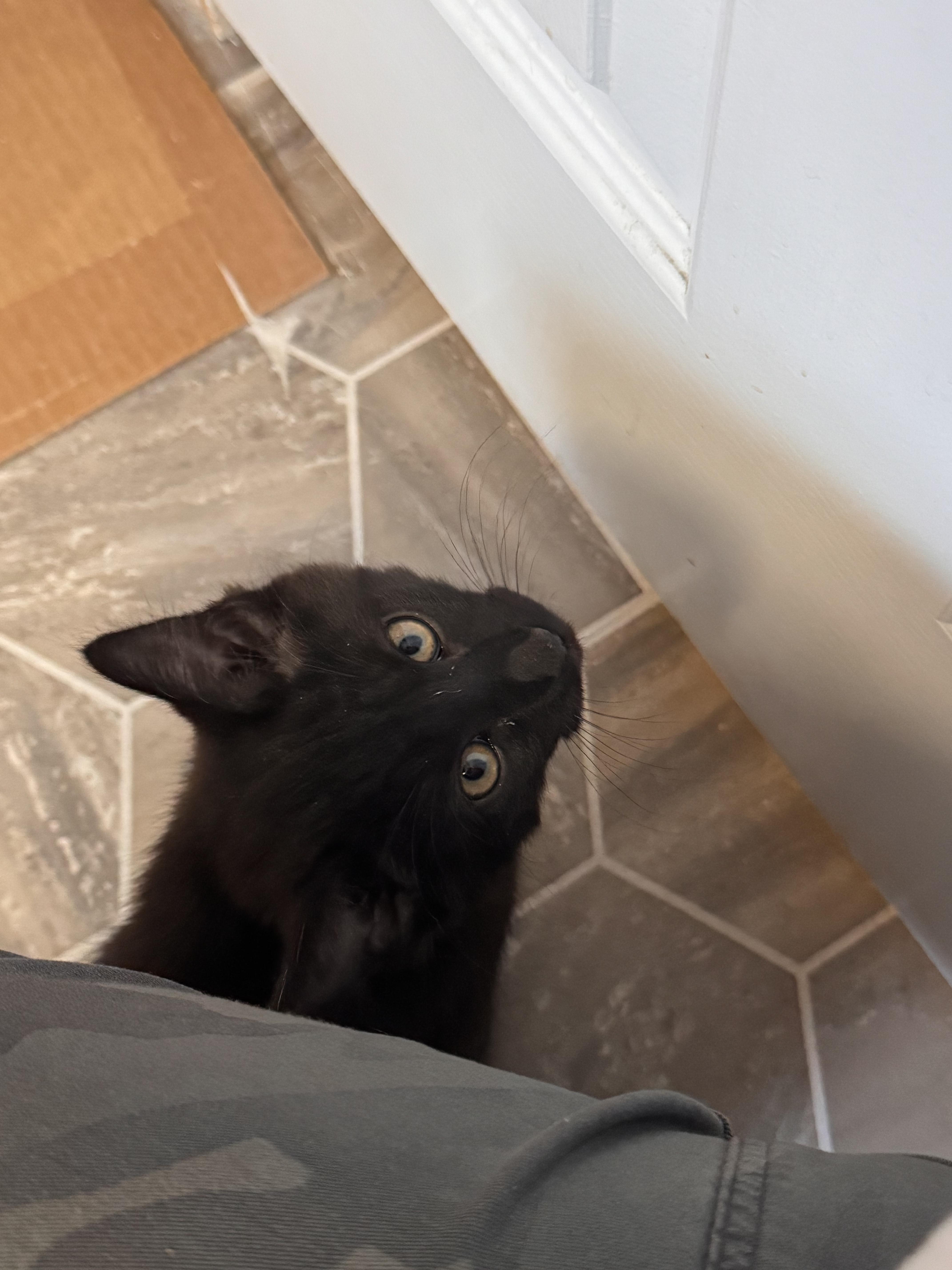 Posh Spice thumbnail 2