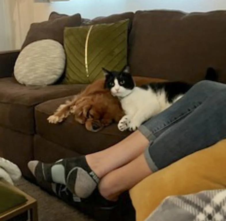 Jasper thumbnail 3