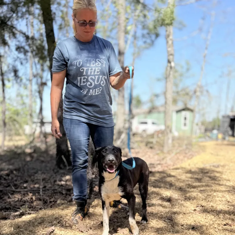 A young medium-sized male Feist dog named King for adoption in Queen City, TX