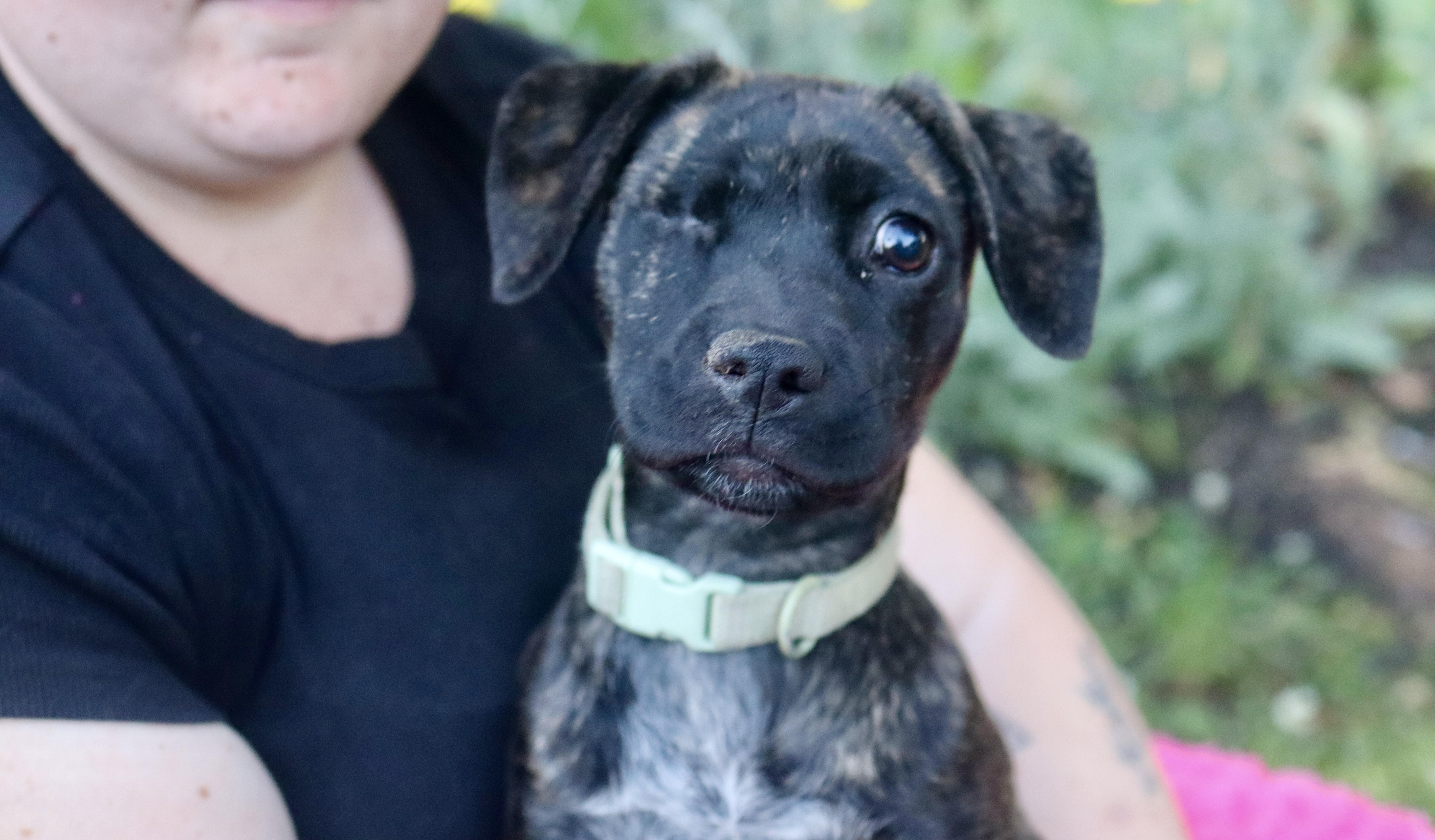 Iris Mae thumbnail 2