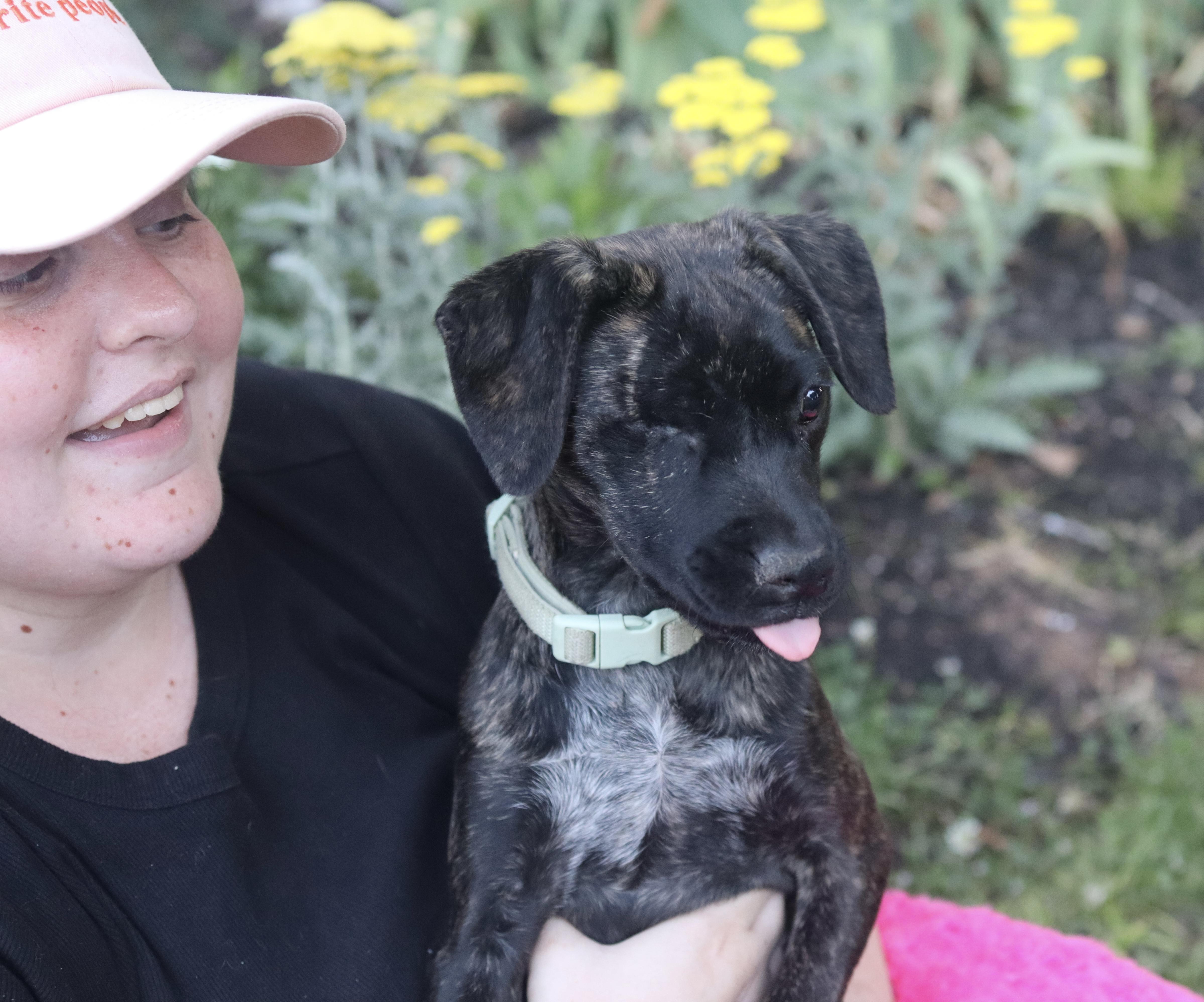 Iris Mae thumbnail 4