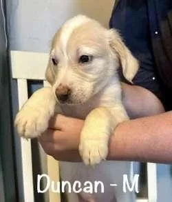 Duncan