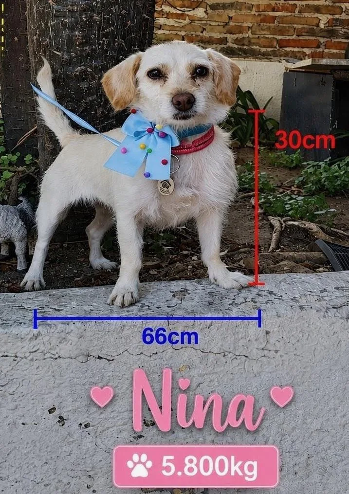 Nina thumbnail 4