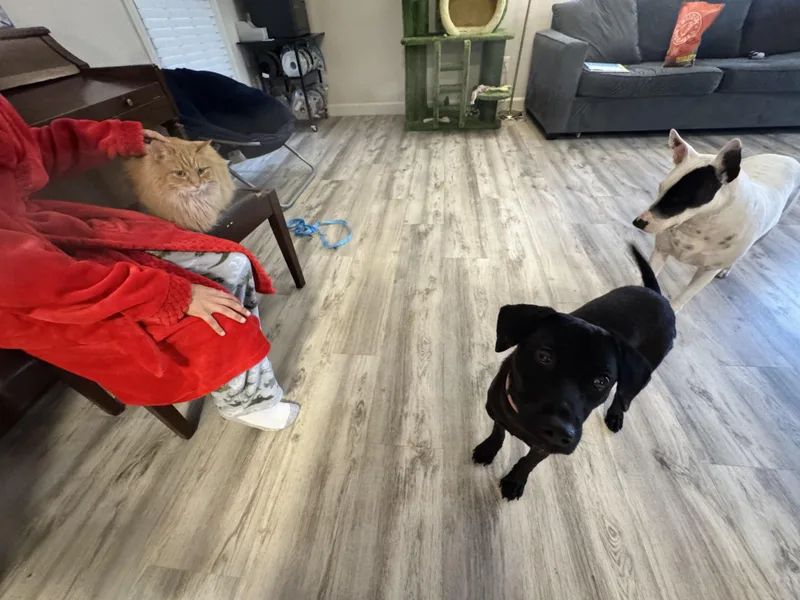 Molly thumbnail 6
