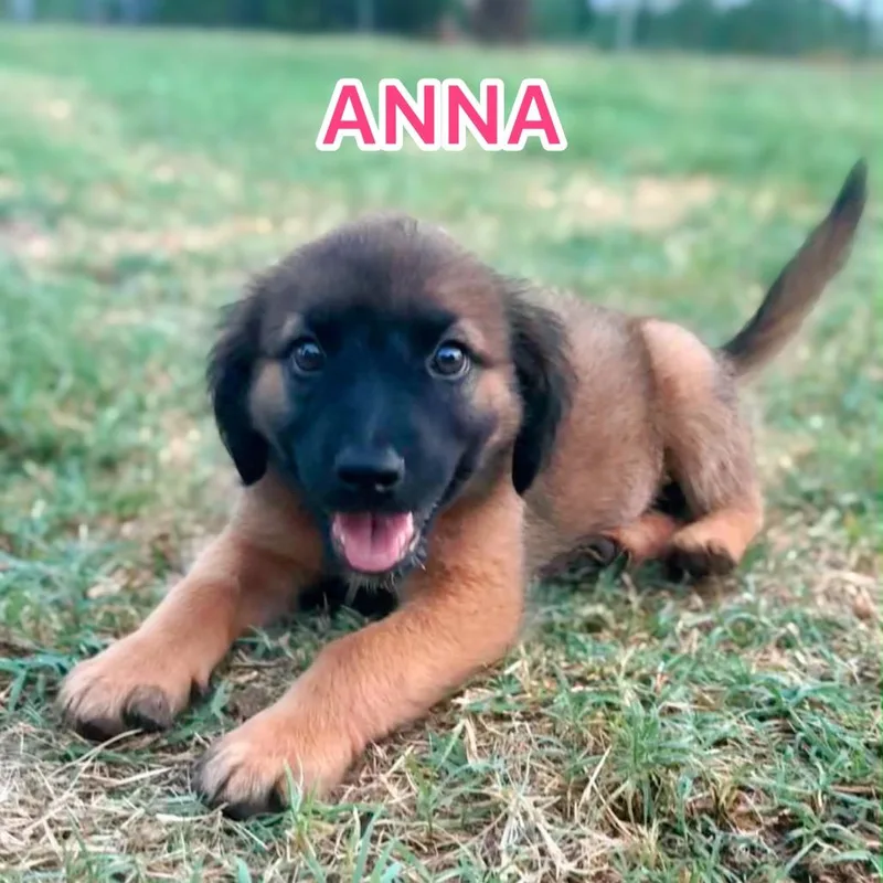 Anna thumbnail 2