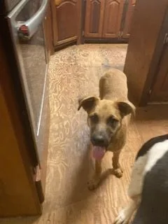 Thatcher thumbnail 3