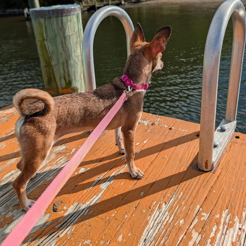 Zoë thumbnail 2