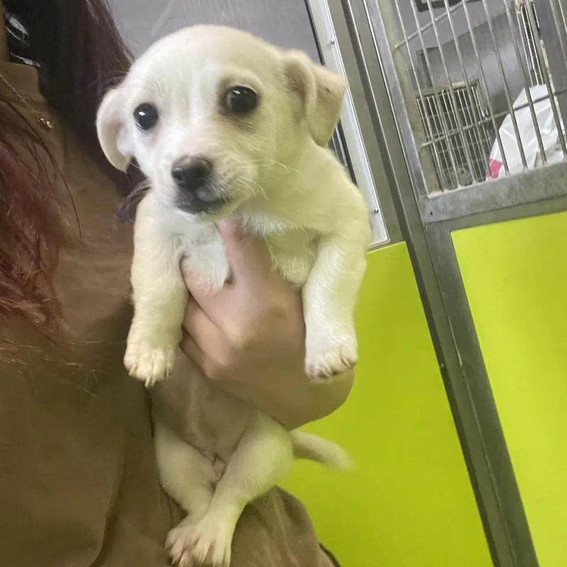 Winnie thumbnail 2