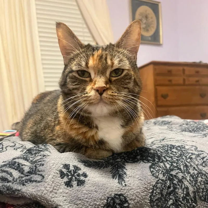 Millie