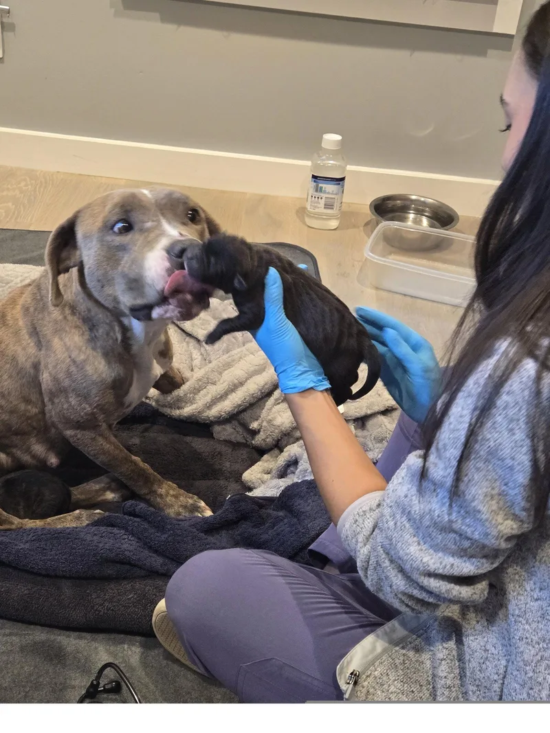 Lena thumbnail 2