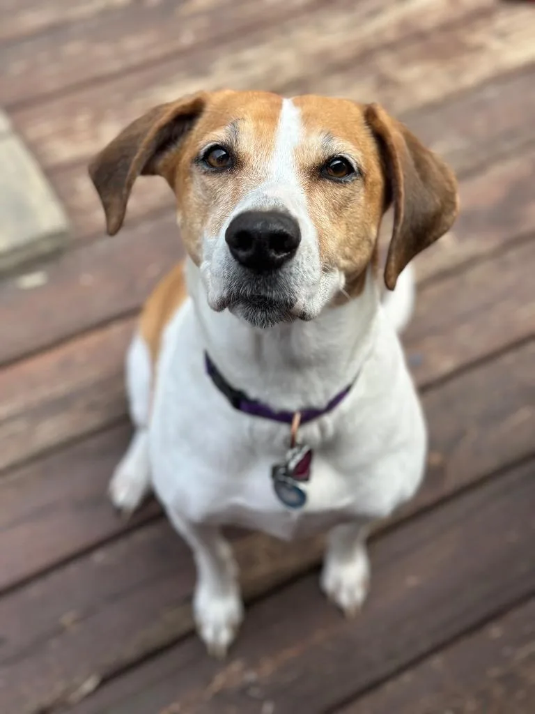 Lydia