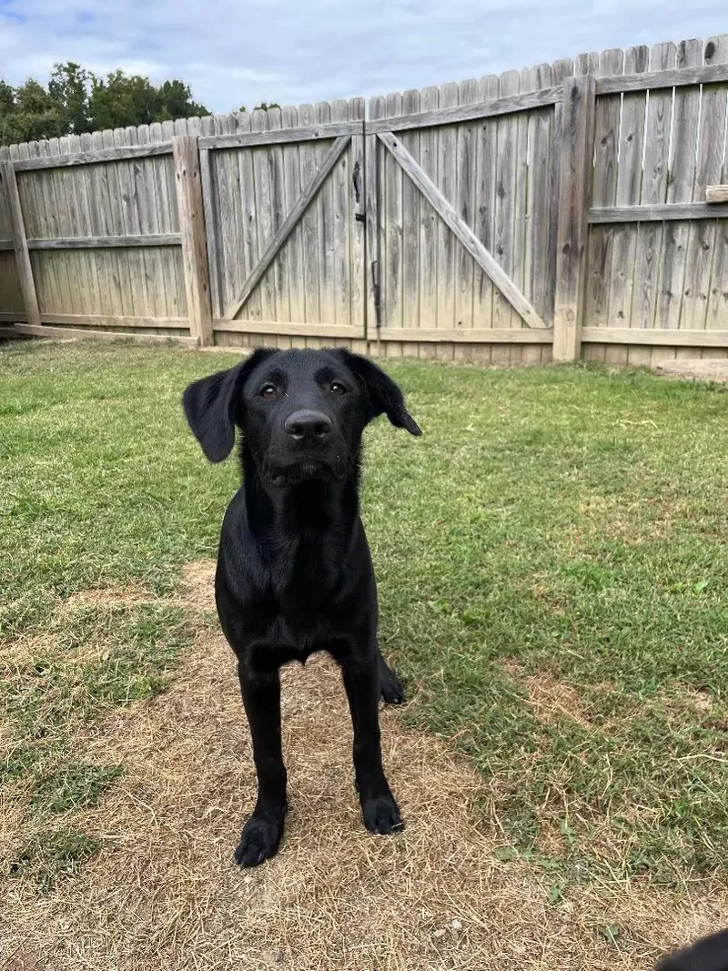 Mason  Coming To thumbnail 3