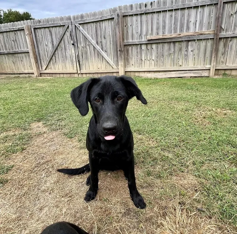 Mason  Coming To thumbnail 4