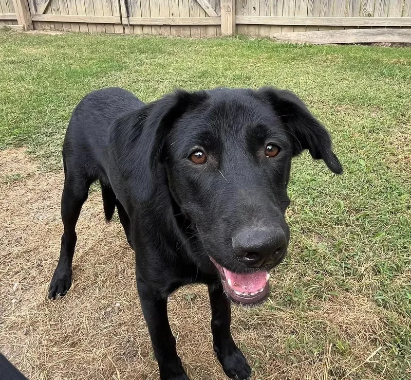 Mason  Coming To thumbnail 5