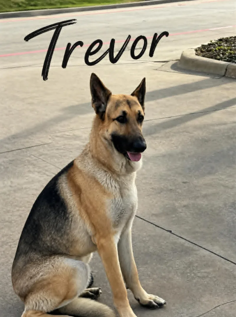 Trevor thumbnail 4