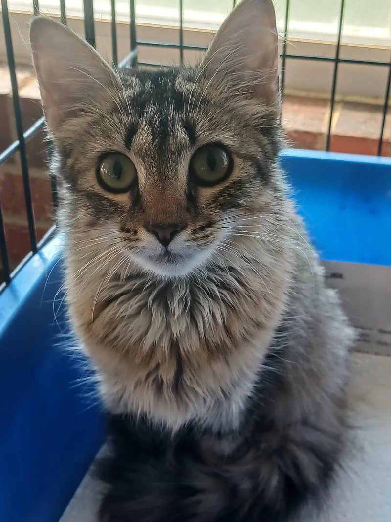 Precious