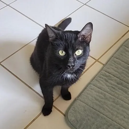 Penny Lane thumbnail 4