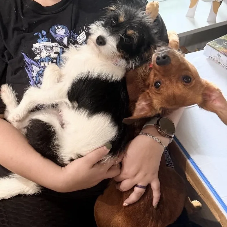 Mia and Miles thumbnail 2