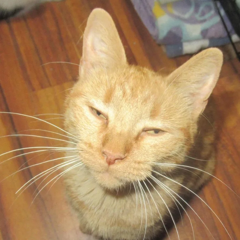 Scrabble thumbnail 2