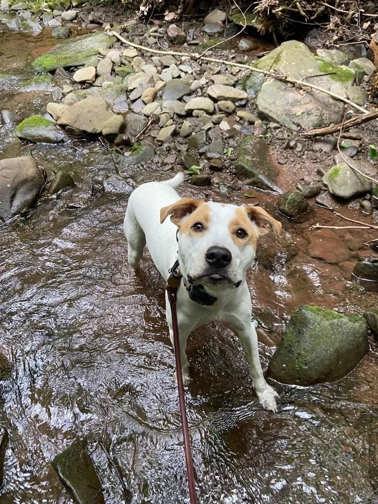 Murphy