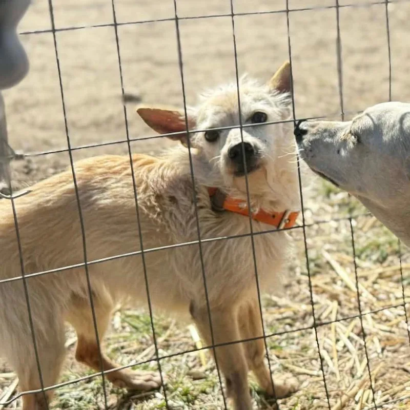 Ruby Rue thumbnail 2