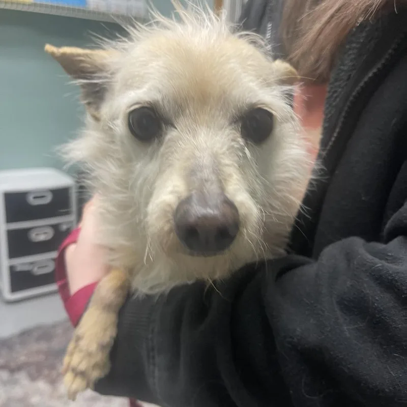 Ruby Rue thumbnail 3