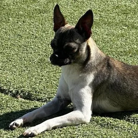 Jyn Erso thumbnail 2