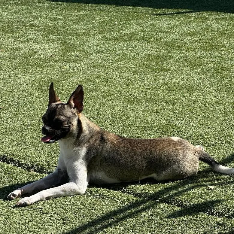 Jyn Erso thumbnail 3