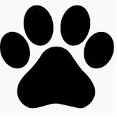 An adult large-sized female Brown / Chocolate Mixed Breed dog named Blew for adoption in Lake Jackson, TX