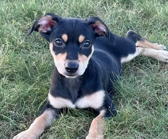 Zoey
