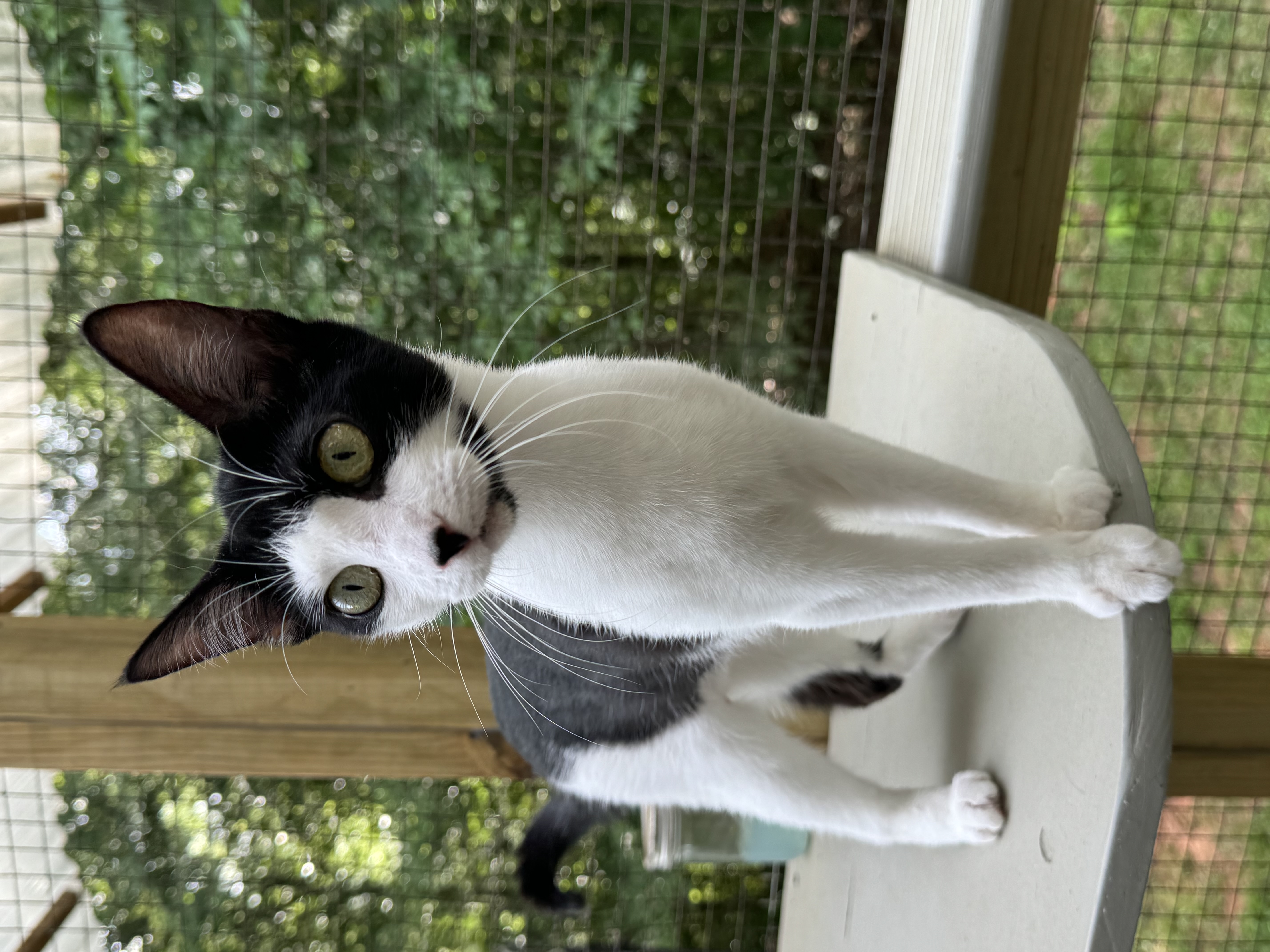 Makamae  Athens  thumbnail 4