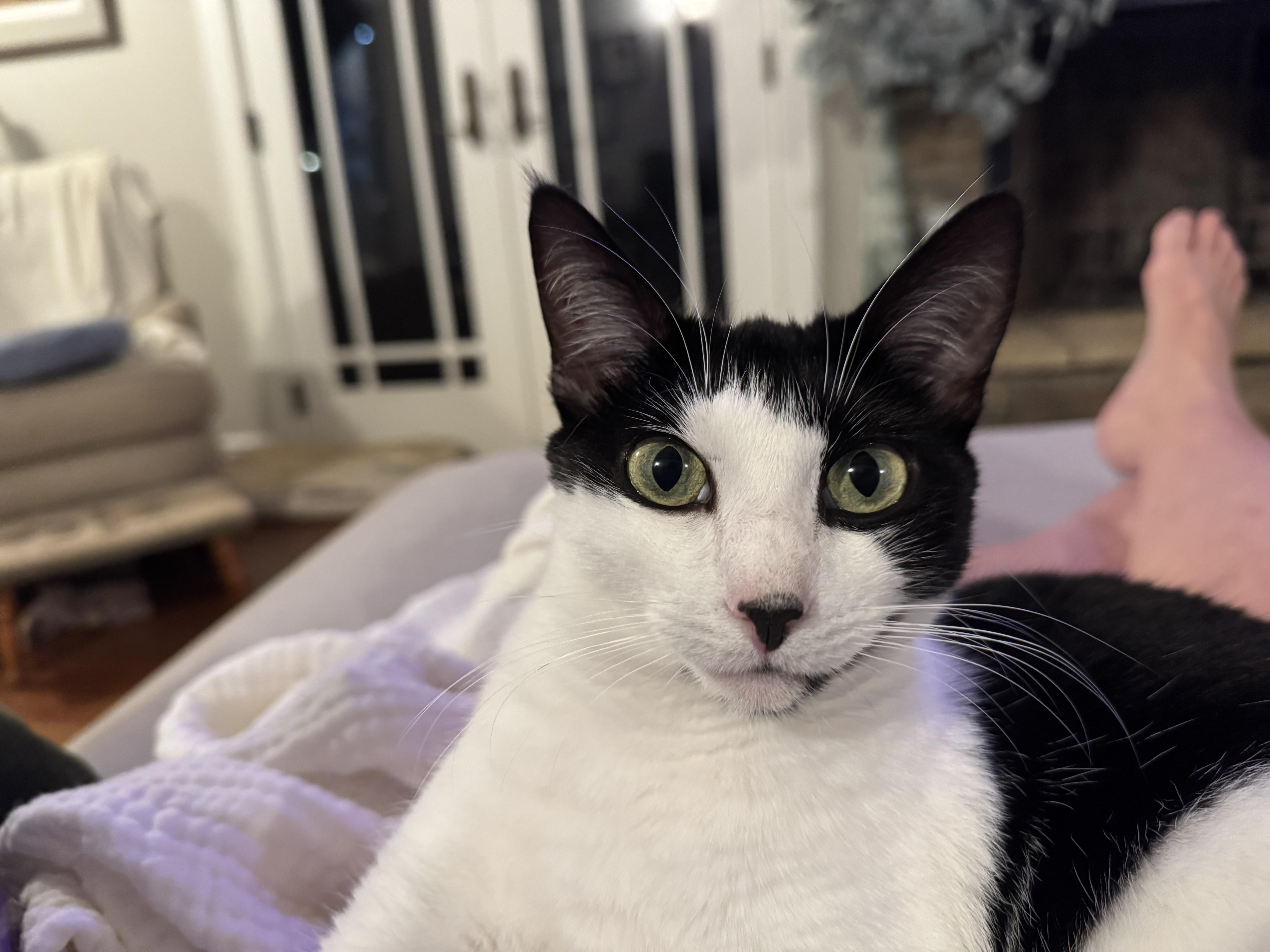 Makamae  Athens  thumbnail 5